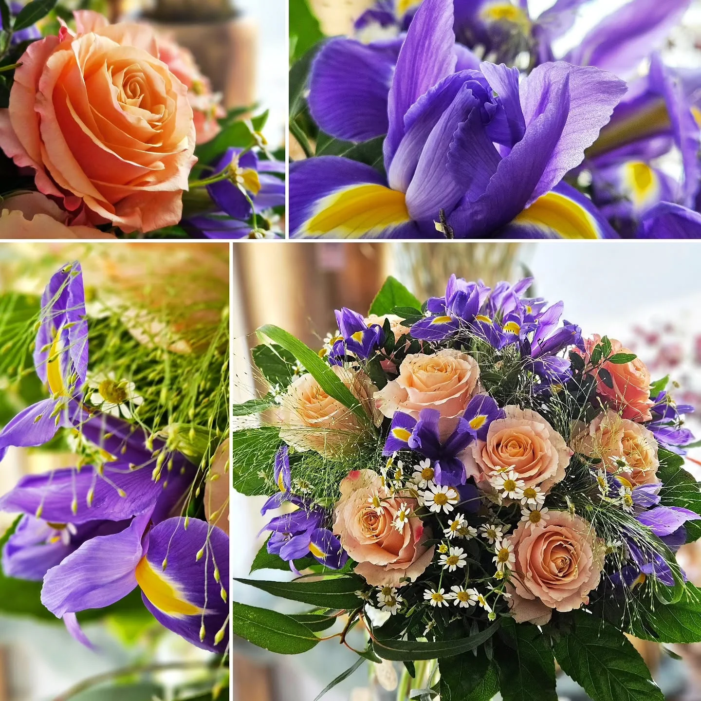 Blumenstrauß mit violetten Iris, apricotfarbenen Rosen und kleinen Kamillenblüten